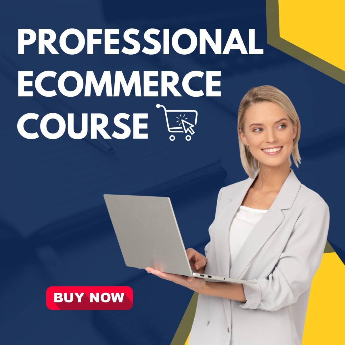 pro 1