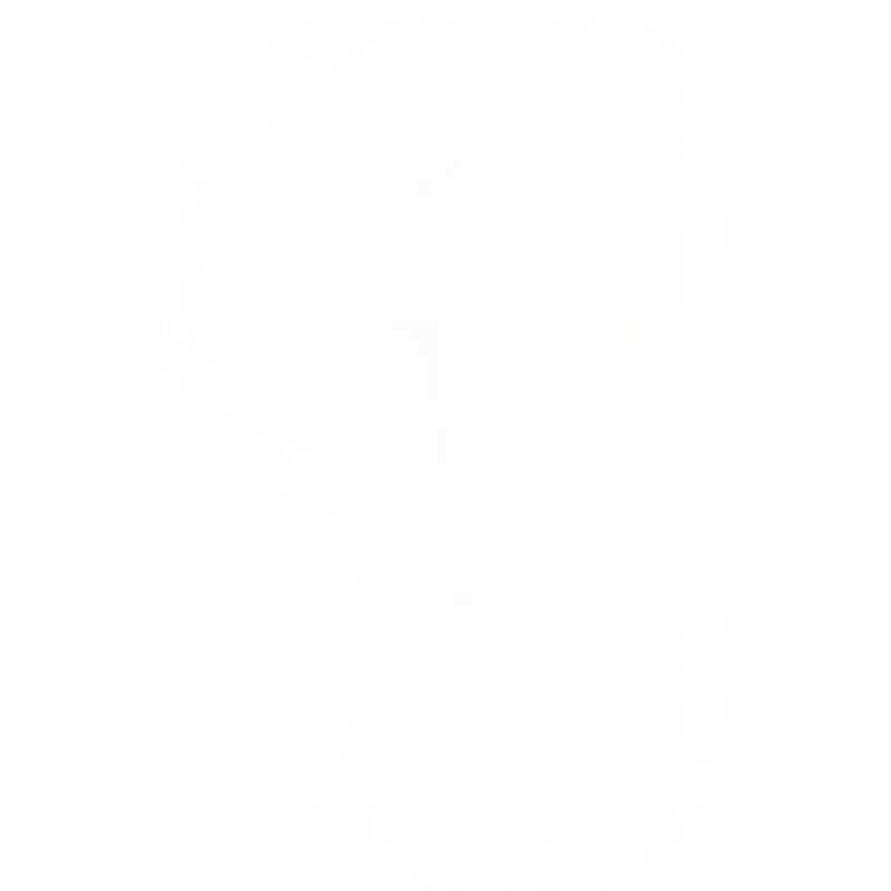 1n1 1